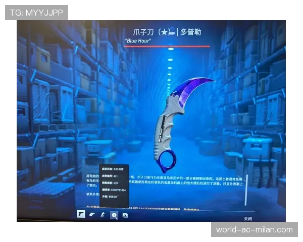 CS2皮肤市场“暗语”：不懂这些你可能永远是菜鸟🔰